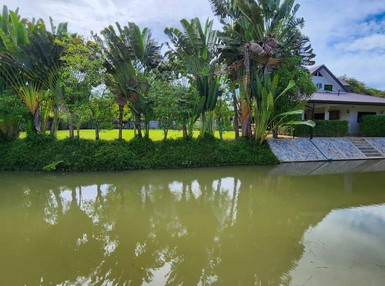 House Pool Vila For Rent Doi Saket - PC-DS002