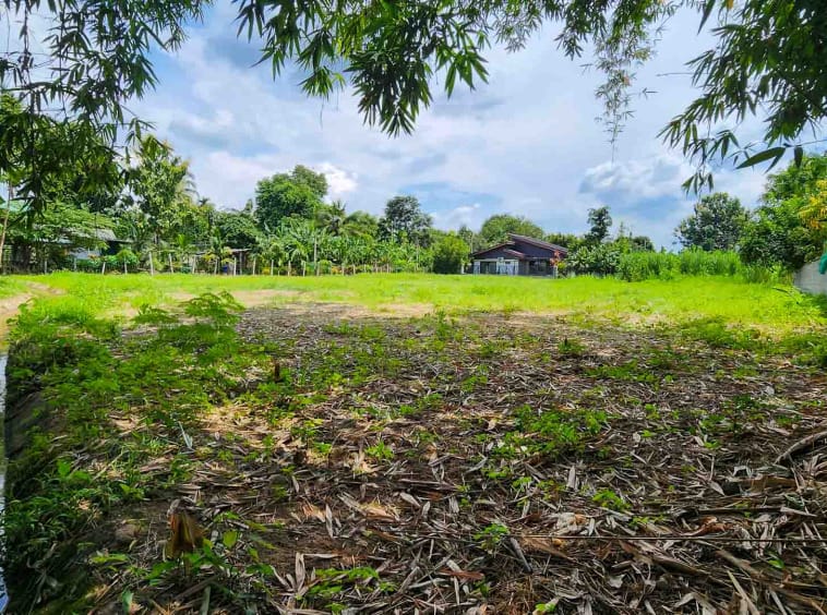 Land For Sale Mae Rim - PC-MR001