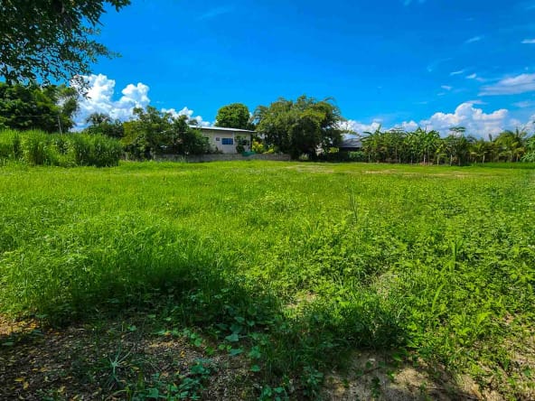 Land For Sale Mae Rim - PC-MR001