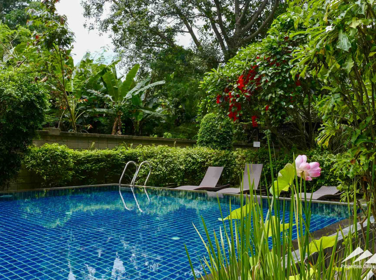 Condo For Sale In Chang Phueak, Mueang Chiang Mai - PC-MCM004