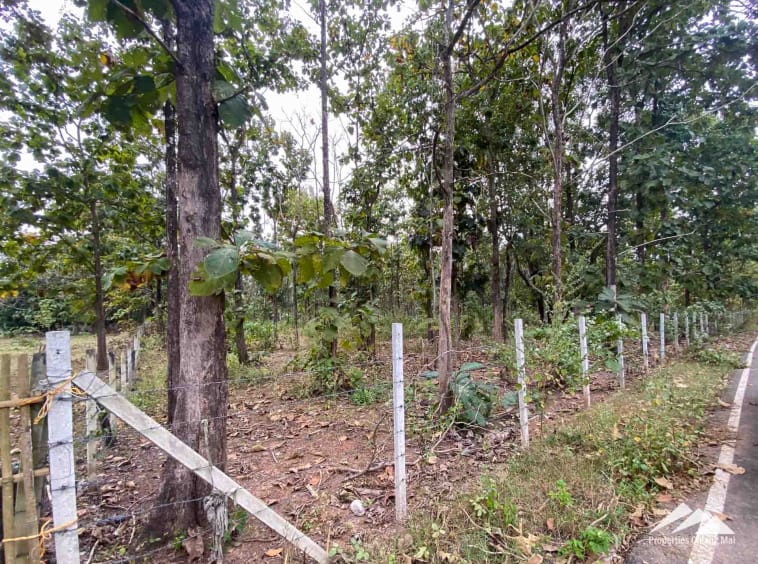 Land For Sale In Mae On Chiang Mai - PC-MO003