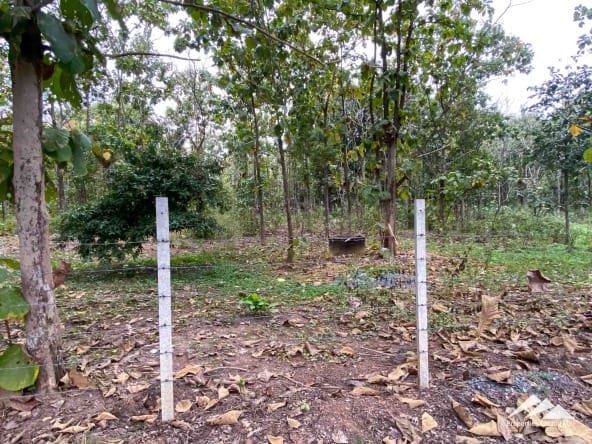 Land For Sale In Mae On Chiang Mai - PC-MO003