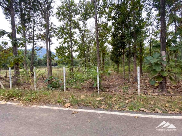 Land For Sale In Mae On Chiang Mai - PC-MO003