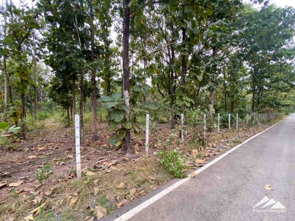 Land For Sale In Mae On Chiang Mai - PC-MO003