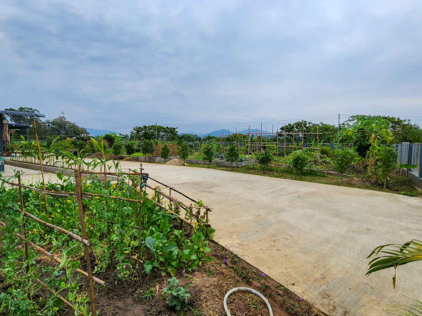 House For Sale San Pa Tong, Chiang Mai - PC-SPT001