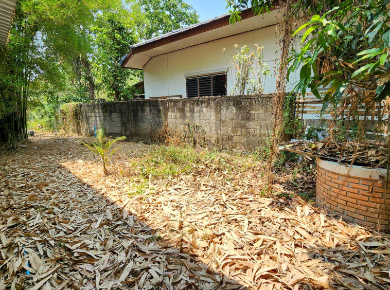 Land For Sale In San Kampang, Chiang Mai - PC-SANK005