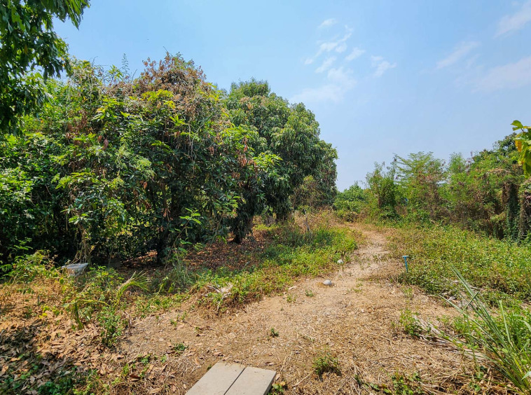 Land For Sale In San Kampang, Chiang Mai - PC-SANK005