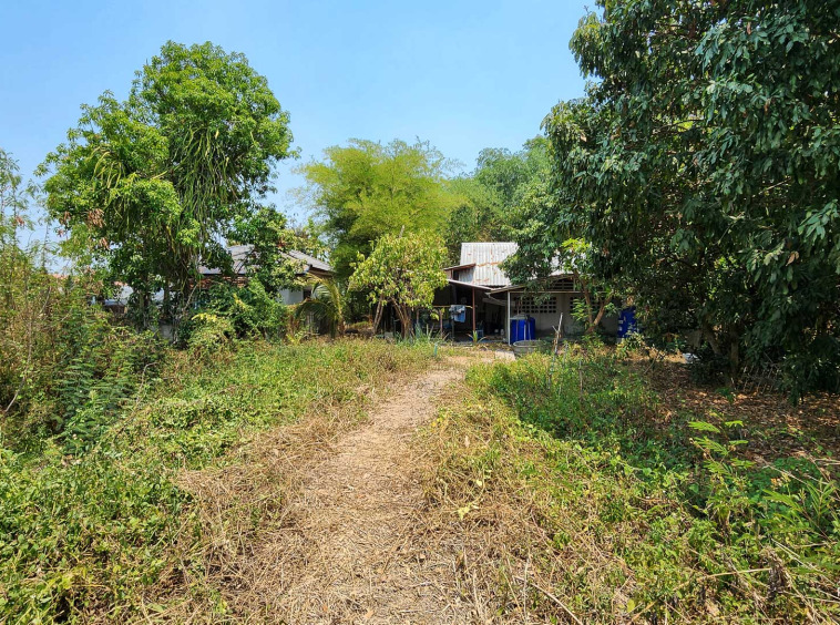 Land For Sale In San Kampang, Chiang Mai - PC-SANK005