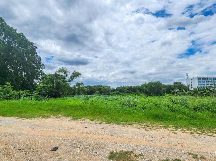 Land For Sale In Mueang Chiang-Mai - PC-MCM009