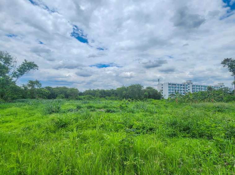 Land For Sale In Mueang Chiang-Mai - PC-MCM009