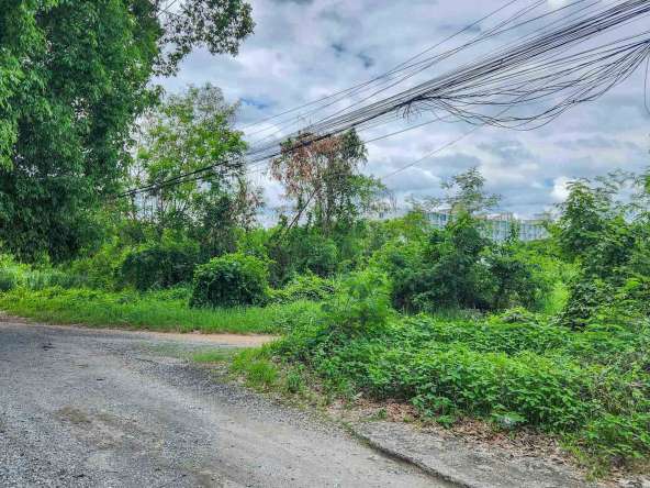 Land For Sale In Mueang Chiang-Mai - PC-MCM009