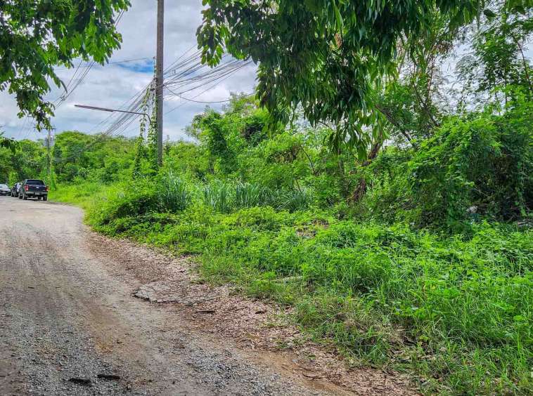 Land For Sale In Mueang Chiang-Mai - PC-MCM009