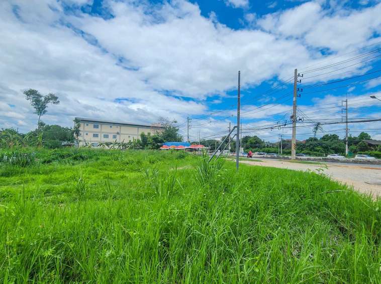 Land For Sale In Mueang Chiang-Mai - PC-MCM009