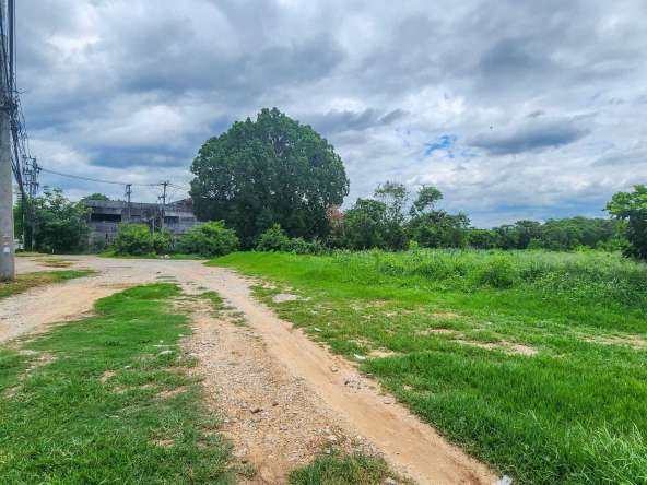 Land For Sale In Mueang Chiang-Mai - PC-MCM009