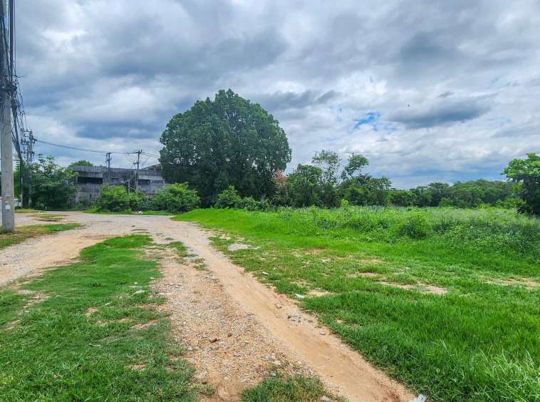 Land For Sale In Mueang Chiang-Mai - PC-MCM009