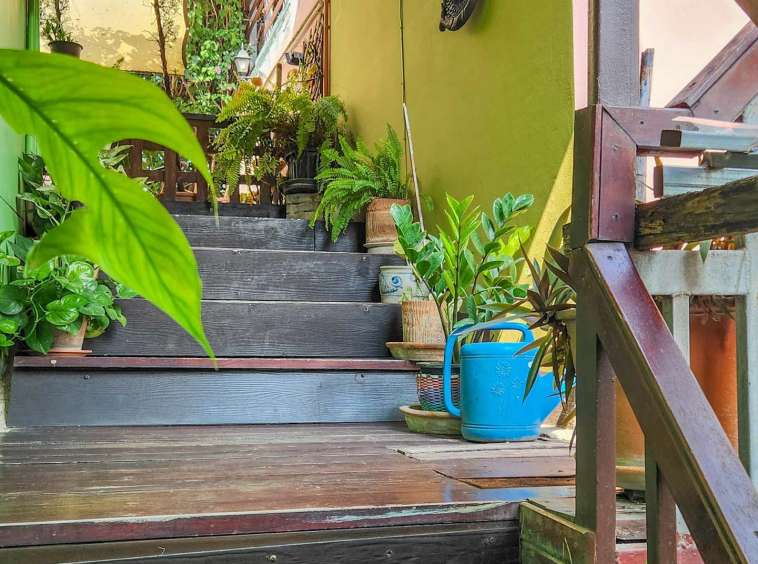 Homestay For Sale In Mueang Chiang Mai - PC-MCM010