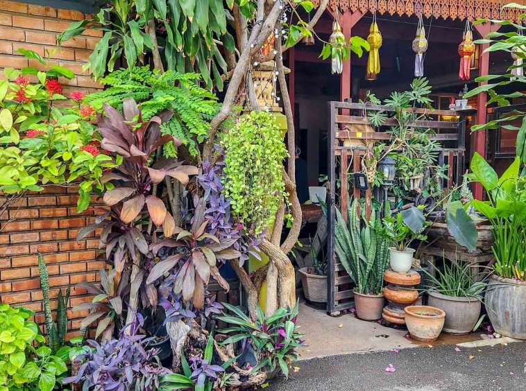 Homestay For Sale In Mueang Chiang Mai - PC-MCM010