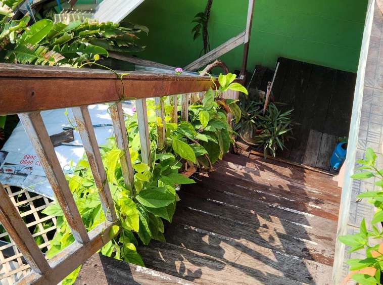 Homestay For Sale In Mueang Chiang Mai - PC-MCM010