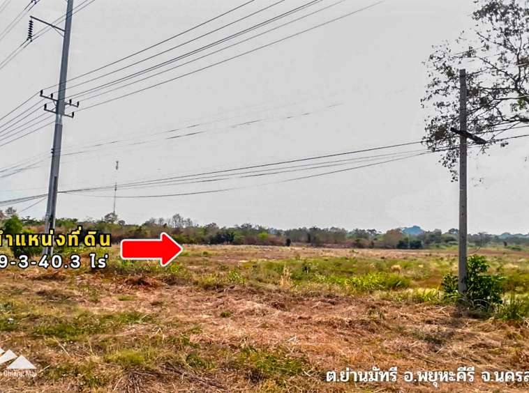 Land For Sale In Phayuha Khiri, Nakorn Sawan - PC-NKS001