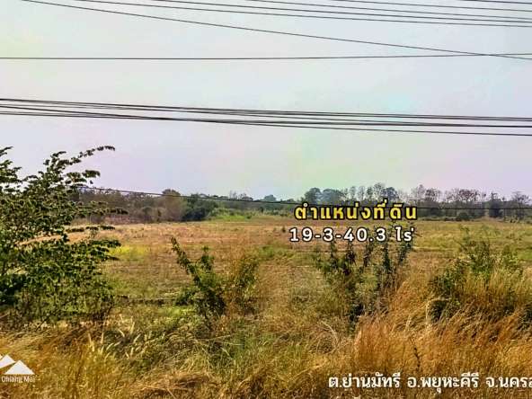 Land For Sale In Phayuha Khiri, Nakorn Sawan - PC-NKS001