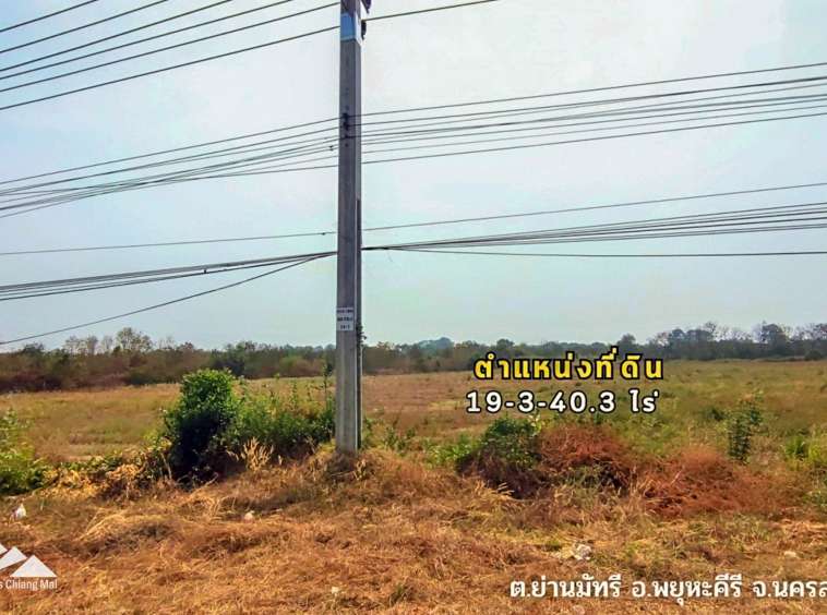 Land For Sale In Phayuha Khiri, Nakorn Sawan - PC-NKS001