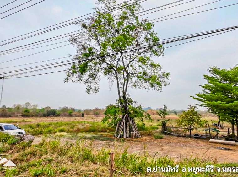 Land For Sale In Phayuha Khiri, Nakorn Sawan - PC-NKS001