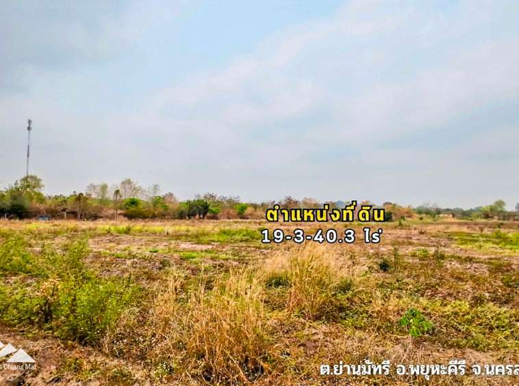 Land For Sale In Phayuha Khiri, Nakorn Sawan - PC-NKS001