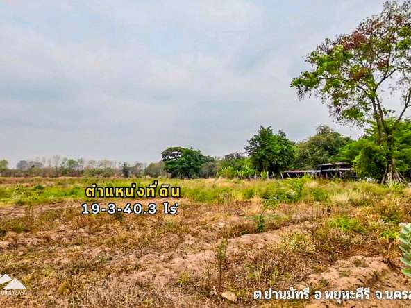 Land For Sale In Phayuha Khiri, Nakorn Sawan - PC-NKS001