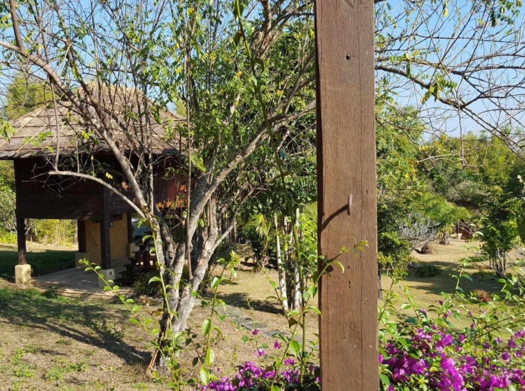 Chiang Mai Real Estate| Resort for Sale