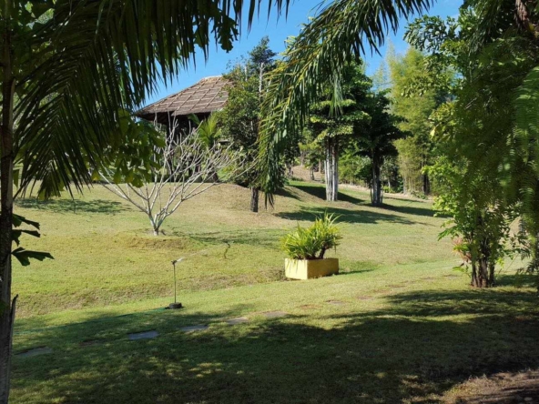 Chiang Mai Real Estate| Resort for Sale