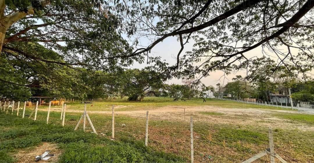 11-0-70 Rai Land for Sale in Chiang Mai - Prime Opportunity-CMP-144