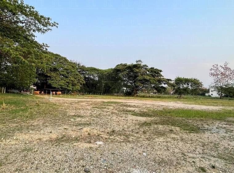 11-0-70 Rai Land for Sale in Chiang Mai - Prime Opportunity-CMP-144