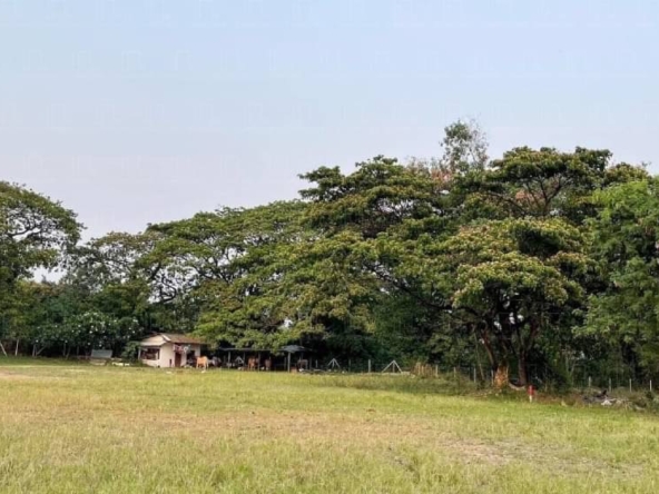 11-0-70 Rai Land for Sale in Chiang Mai - Prime Opportunity-CMP-144