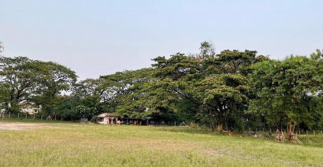 11-0-70 Rai Land for Sale in Chiang Mai - Prime Opportunity-CMP-144