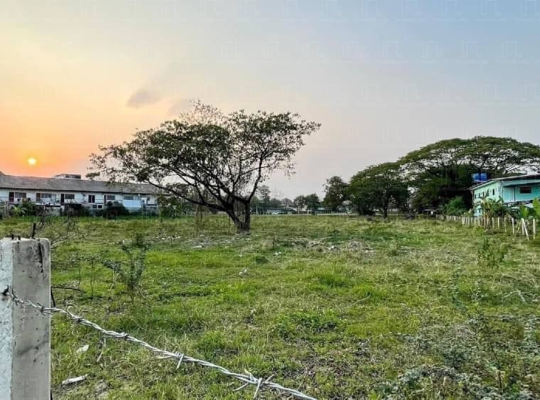 11-0-70 Rai Land for Sale in Chiang Mai - Prime Opportunity-CMP-144