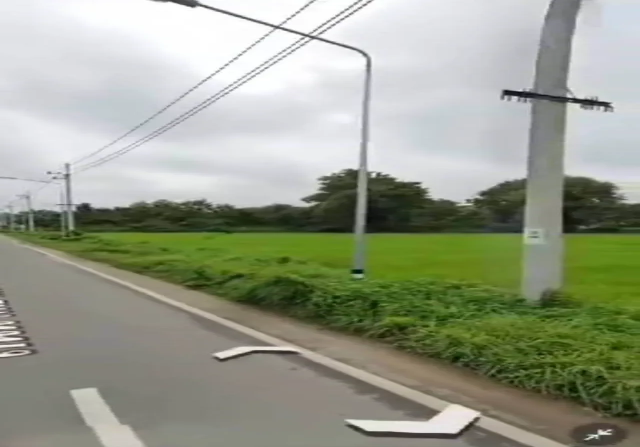 61 Rai Land for Sale in San Pa Tong