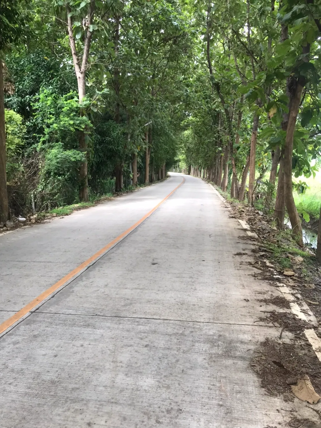 Land for Sale in Chiang Mai | 25 Rai with Excellent Accessibility.-CMP-227