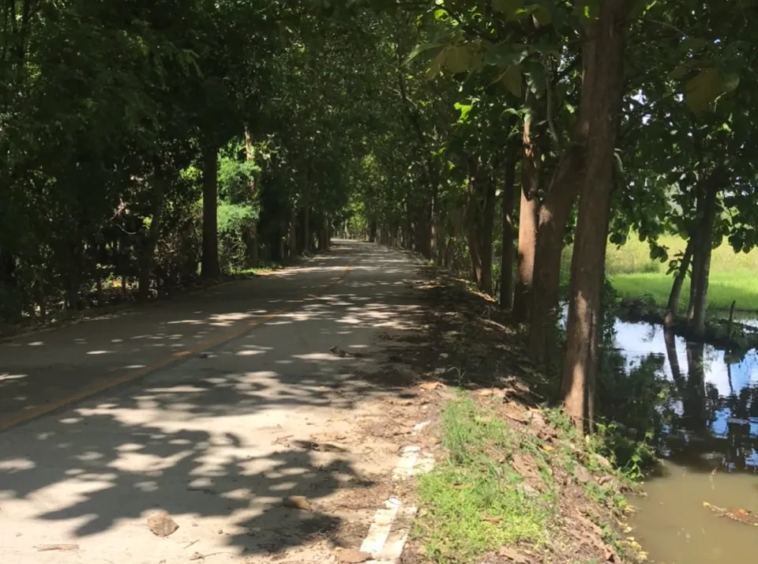 Land for Sale in Chiang Mai | 25 Rai with Excellent Accessibility.-CMP-227