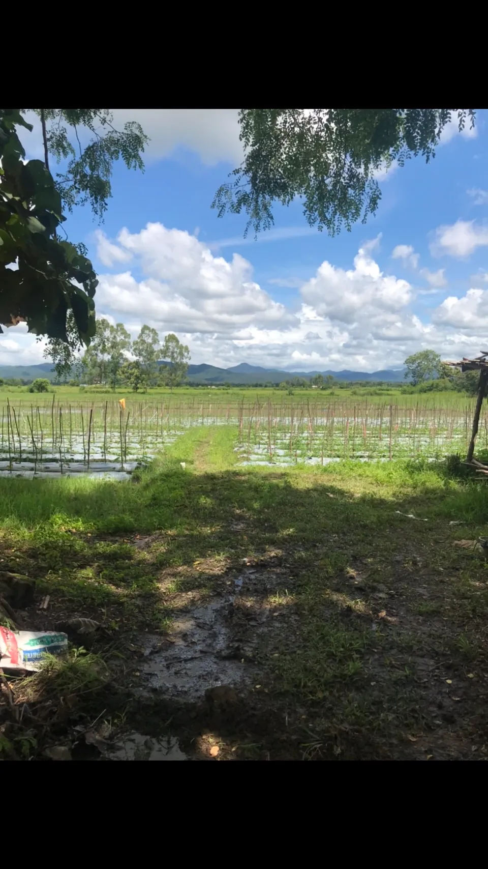 Land for Sale in Chiang Mai | 25 Rai with Excellent Accessibility.-CMP-227