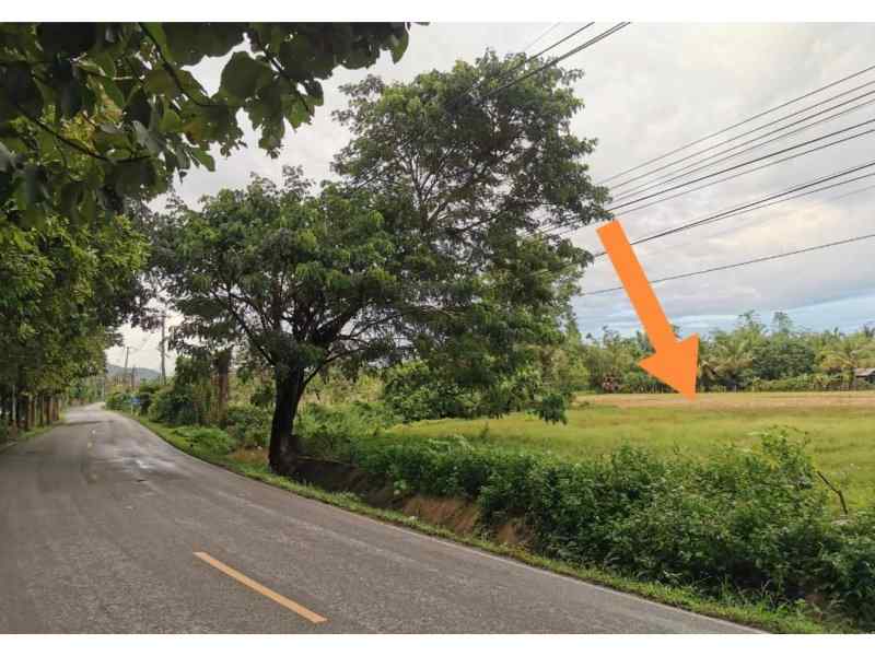 3 Rai Land for Sale Chiang Mai