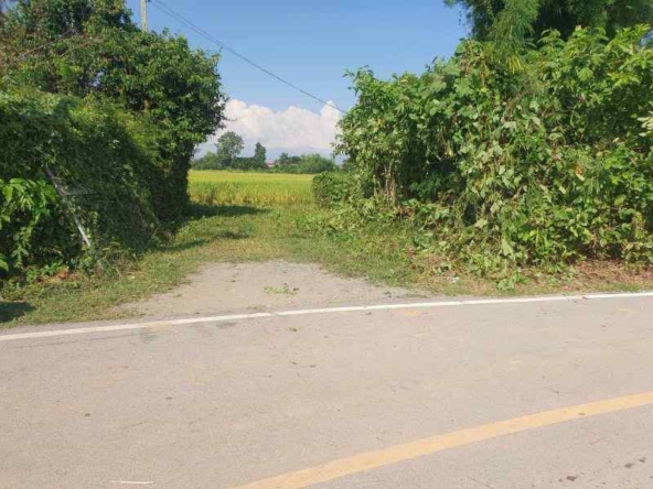 7 Rai Land for Sale in Chiang Mai