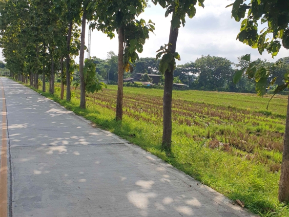 10 Rai Land for Sale in Chiang Mai | Excellent Investment Opportunity-CMP-236