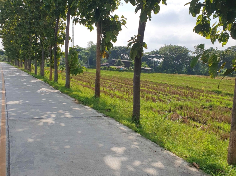 10 Rai Land for Sale in Chiang Mai | Excellent Investment Opportunity-CMP-236