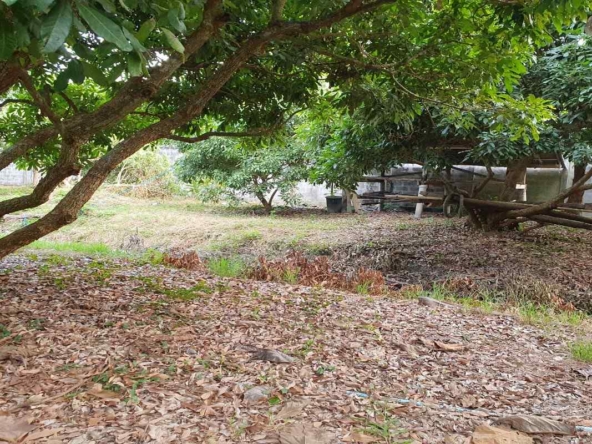 Prime Land for Sale in Chiang Mai | 1