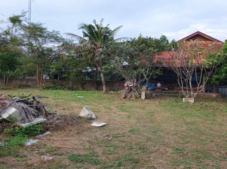 Prime Land for Sale in Chiang Mai | 1