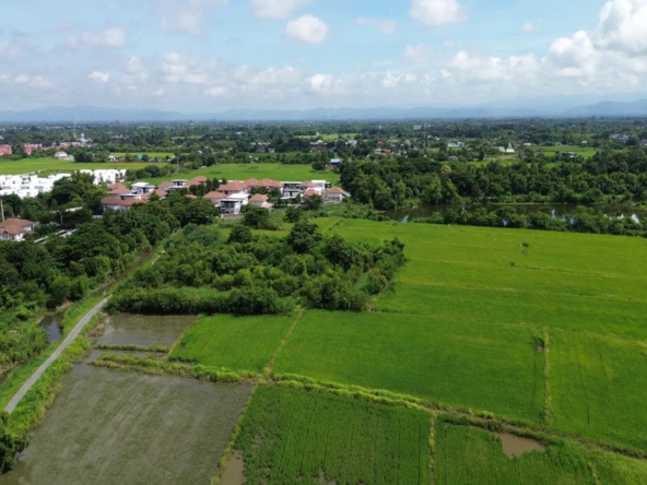 114 Rai Prime Land for Sale in San Kamphaeng