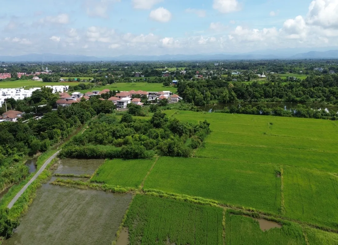 114 Rai Prime Land for Sale in San Kamphaeng