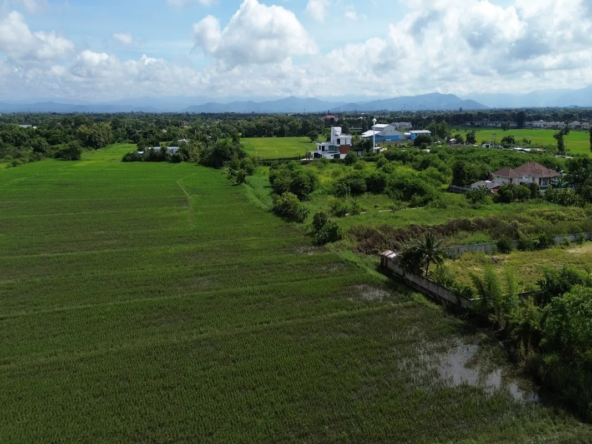 114 Rai Prime Land for Sale in San Kamphaeng