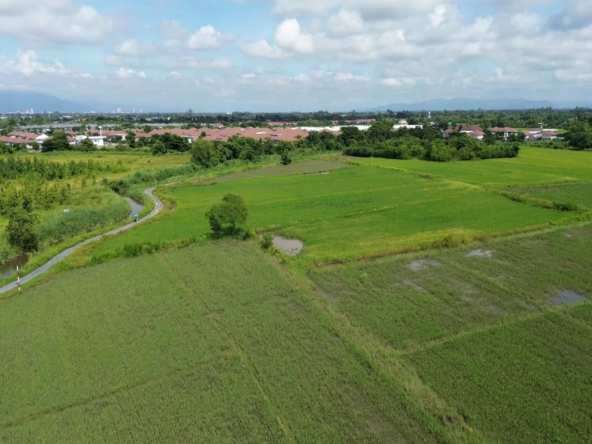 114 Rai Prime Land for Sale in San Kamphaeng