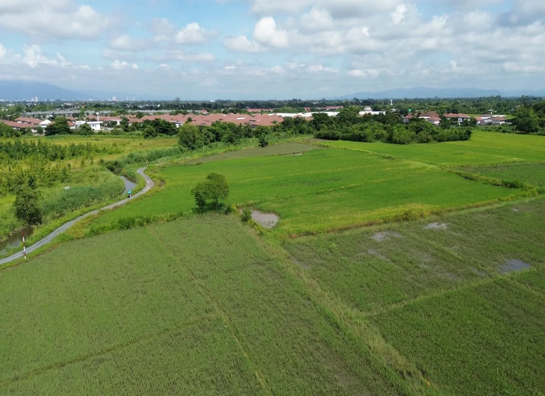 114 Rai Prime Land for Sale in San Kamphaeng